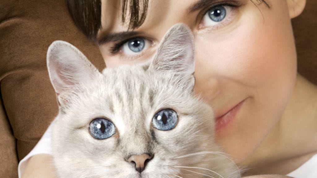 Heidi Abrahamson tekee koruja kissankarvasta.