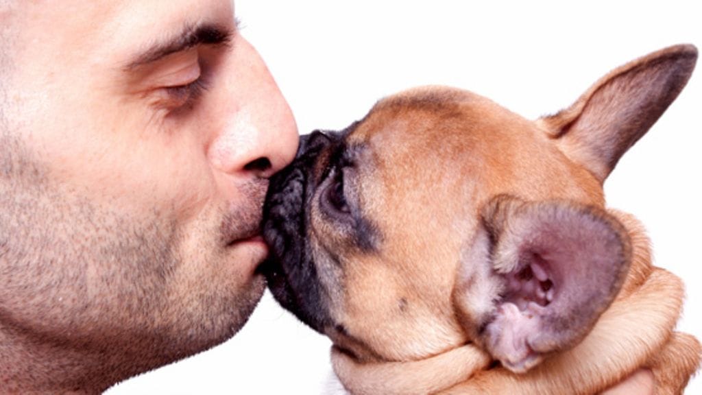 Onko koiran suukottaminen ok?