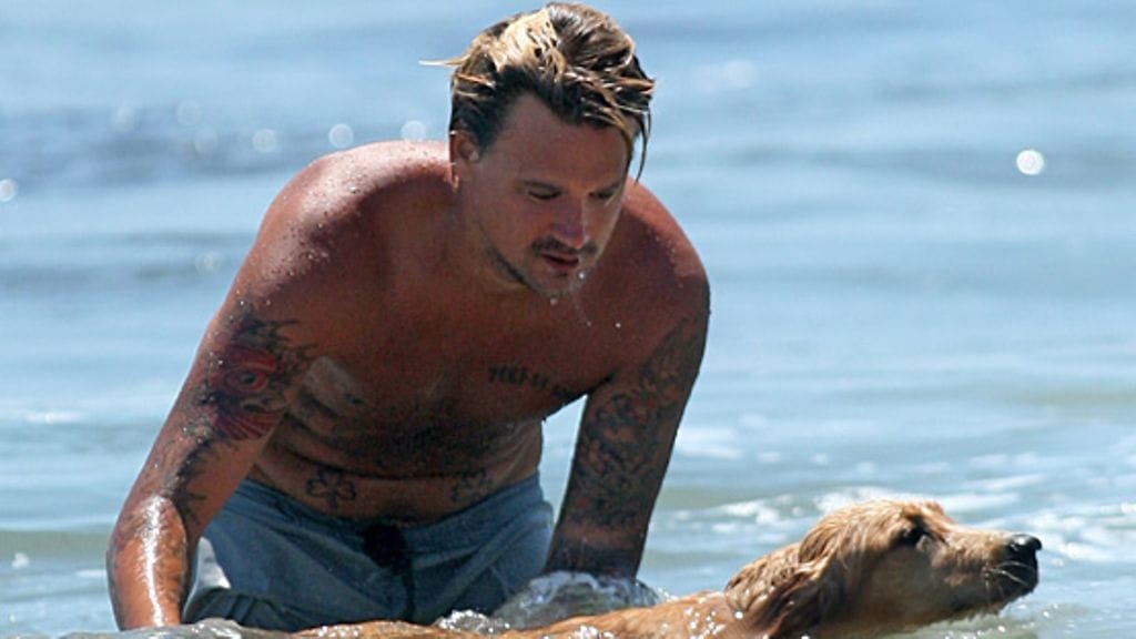 Sean Stewart uitti perheen koiraa.