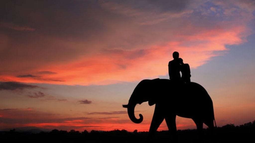 Mikä on ollut elämäsi paras reissu?