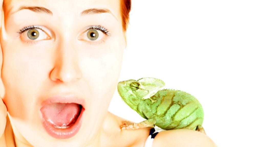 Maailman pienin kameleontti mahtuu keikkumaan sormen päällekin!