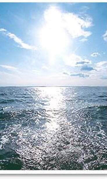 futureimagebank.com