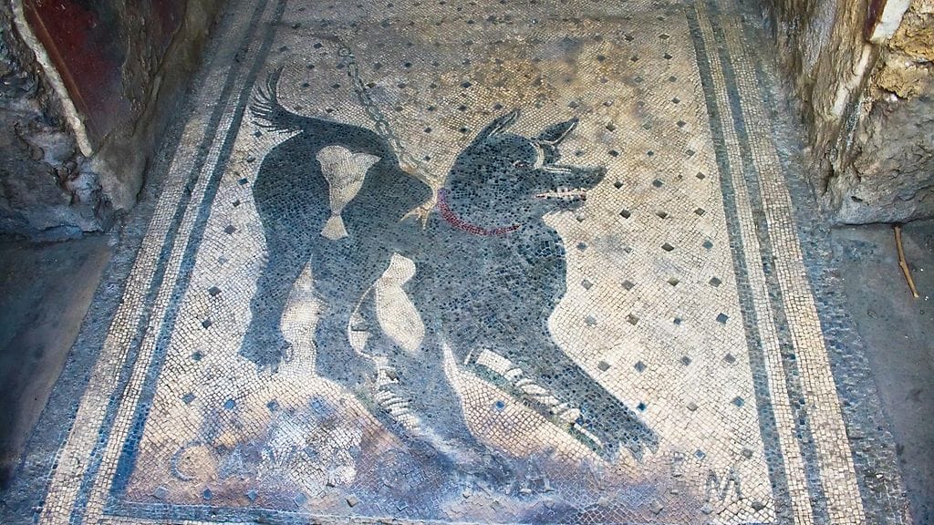 Cave canem – Varo koiraa! Pompeijilaisten seinäkirjoitustenkin viestit ovat yhä ajankohtaisia.