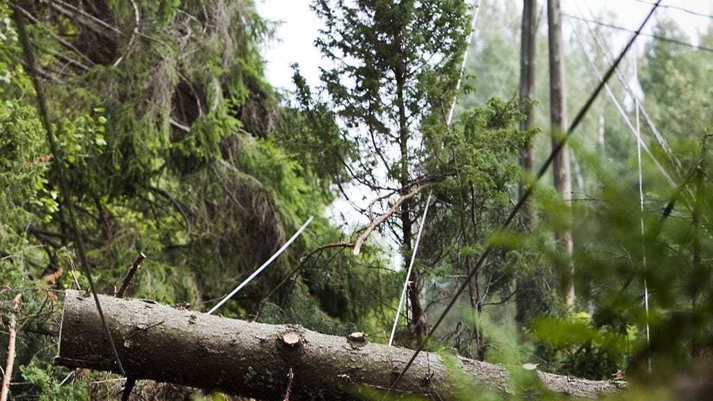 Tuuli aiheuttanee eniten sähkökatkoja ja myrskyvahinkoja maan keskiosissa.