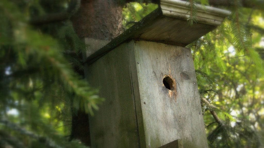 Pienellä huollolla voi pidentää pöntön käyttöikää.