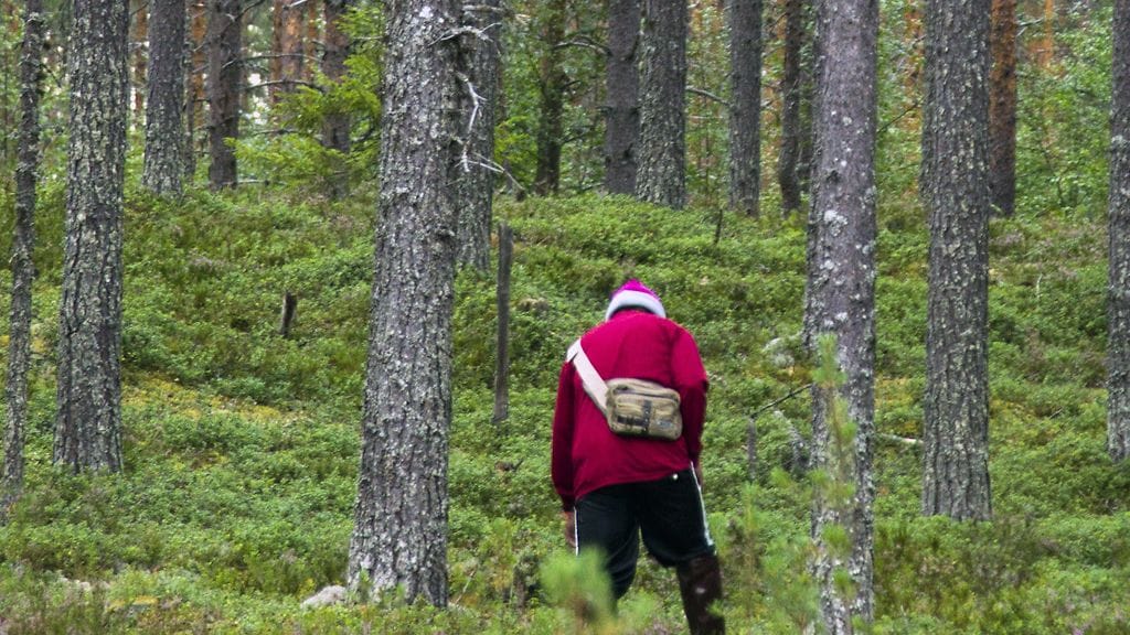 Arkistokuva. Thaimaalainen marjanpoimija Rumon metsäalueella Valtimolla keskiviikkona 31. heinäkuuta 2013.