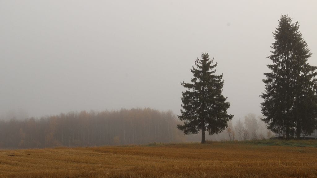 Harmaa aamu Utajärvellä 8. lokakuuta 2013. Lukijan kuva: Sinikka Kujala
