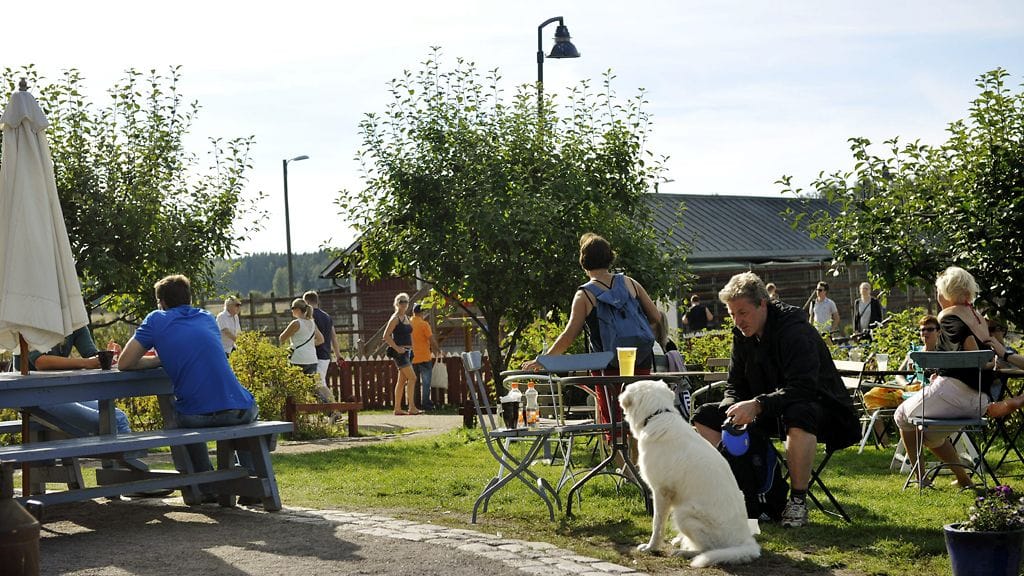 Lämmin sää toi ihmisiä Haltialan kahvilaan Helsingissä 8. syyskuuta 2013.