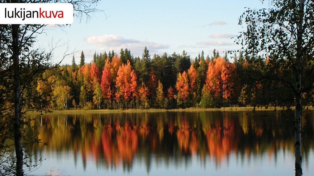 Isosyötteen Siikaperä 9.9.2013. Kuvaaja: Tapio Laatikainen