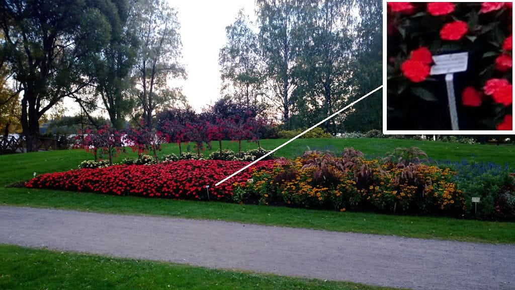 Nokia Lumia 1020 -mallilla otettu testikuva.