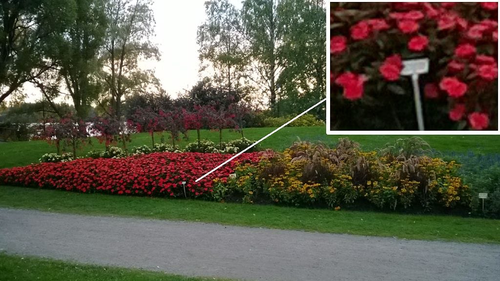 Nokia Lumia 625 -mallilla otettu testikuva.