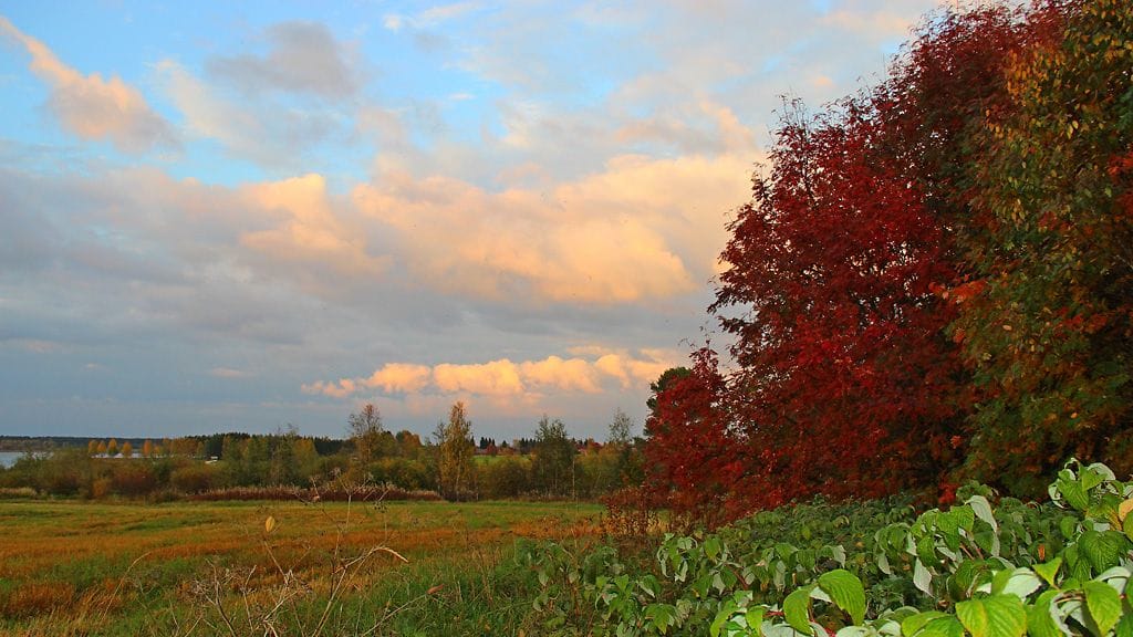 Utajärvellä ruskan värittäessä ja auringon sävyttämää maisemaa.