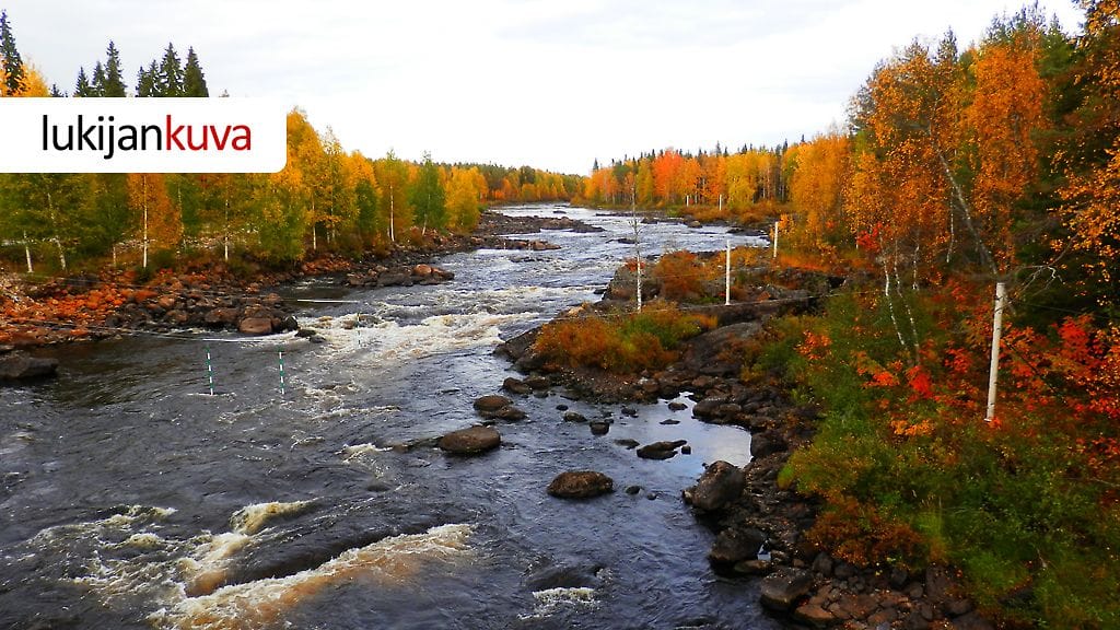 Lapin ruskaa - Rovaniemi - 15.9.2013