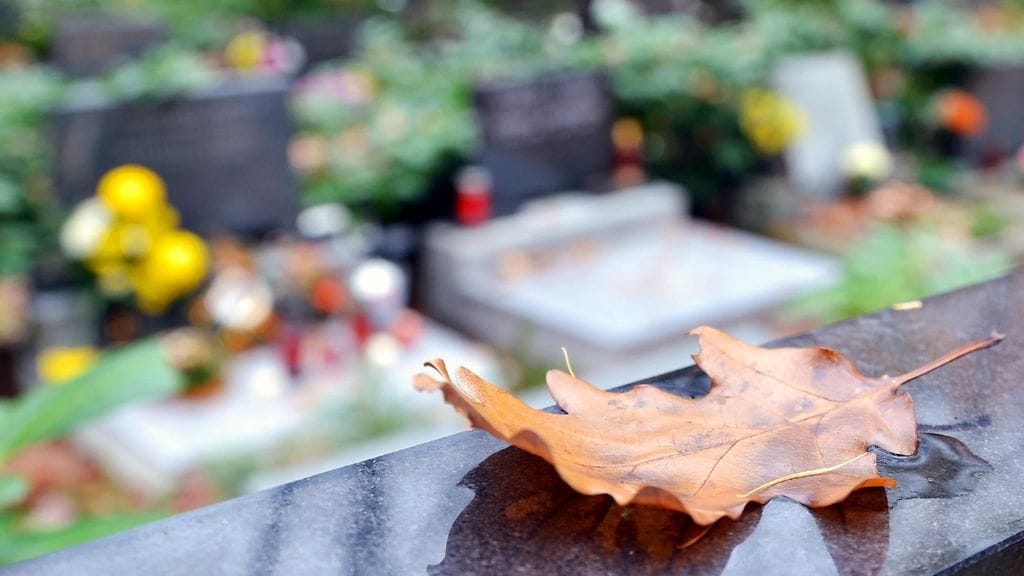 Dementiaan ja Alzheimeriin tilastoidaan kuolleen 246 suomalaista vuonna 1971 ja 6200 vuonna 2011.