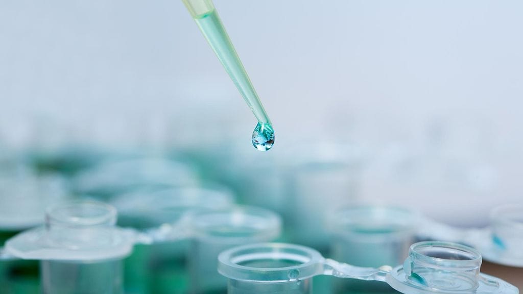 "Olemme saamassa selville, kuinka paljon perimä voi vaihdella."