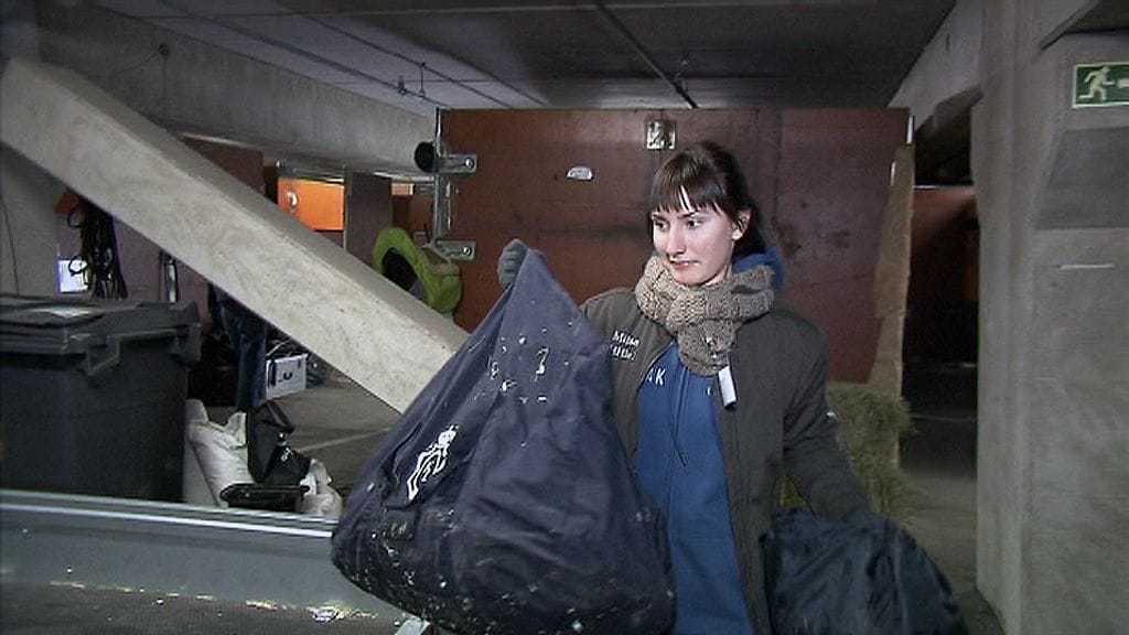 Vapaaehtoisena Helsinki International Horse Show'ssa toimiva Miisa Järvinen kantaa kilpailuun saapuvien tavaroita torstaina 17. lokakuuta 2013.