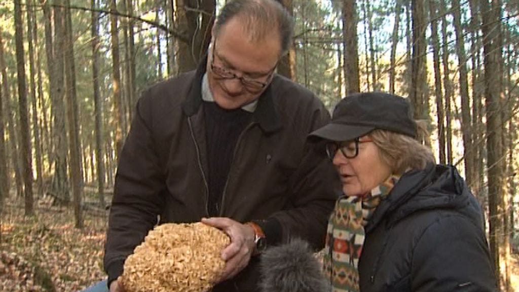 Jukka Aalto (vas.) ja toimittaja Tarja Hakulinen