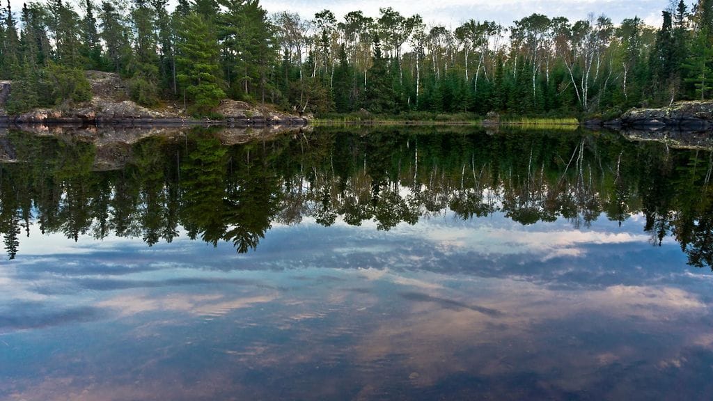 Minnesotan luonto muistuttaa Suomen luontoa.