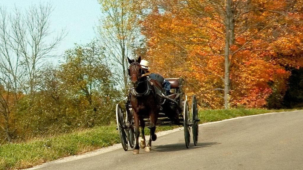 Amishit kulkevat hevospelillä.