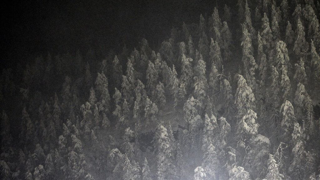 Kahta kadonnutta henkilöä etsitään maastosta Pohjanmaalla. Bodil Wikman on ollut kateissa viikonlopun ajan, Erkki Viitaharju jo viikon.