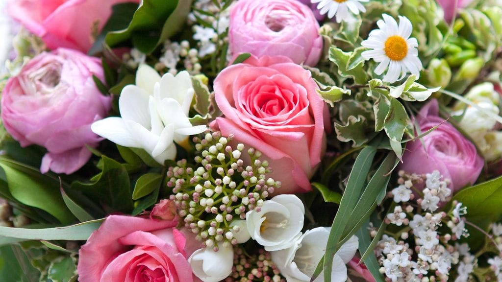 Ruusut kertovat rakkaudesta, päivänkakkarat viattomuudesta.