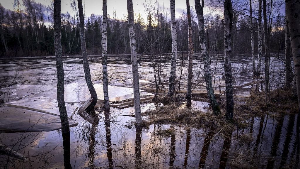 Perhonjoki tulvi näin Kokkolassa tapaninpäivänä 2013.