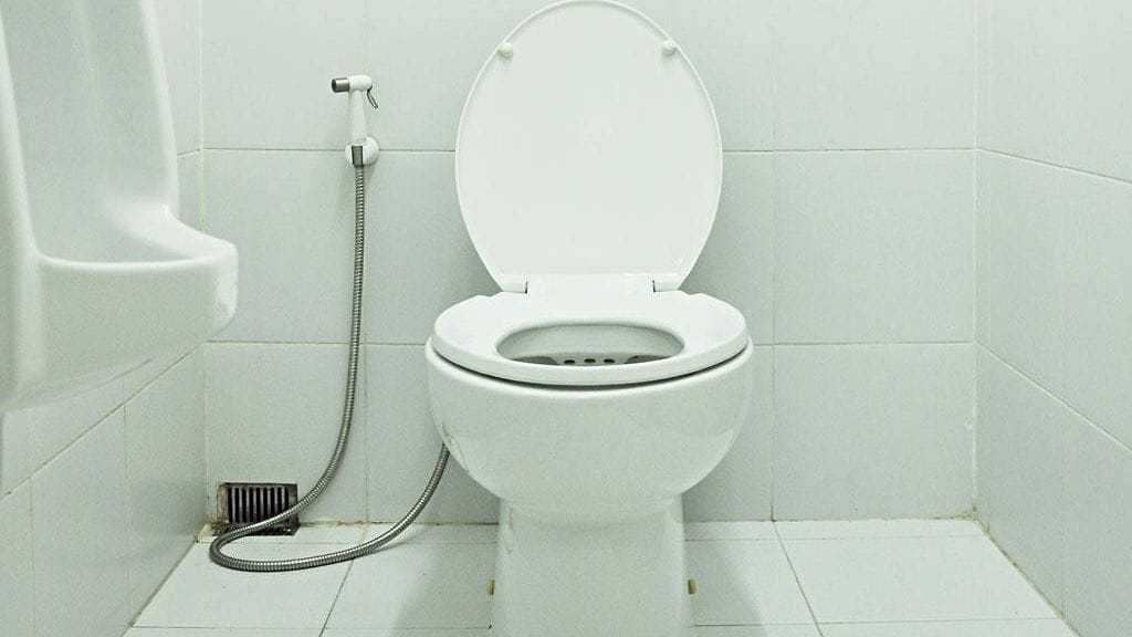 Ongelmat terveydessä voivat näkyä ulosteessa.