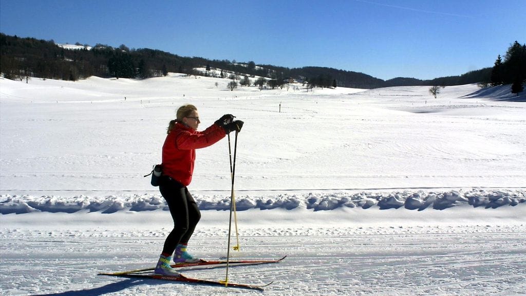 Painonpudottajan kannattaa suunnata ladulle.