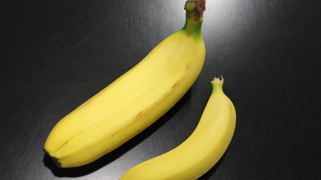 Tuplabanaani oli kooltaan huomattavasti normaalia yksilöä suurempi.