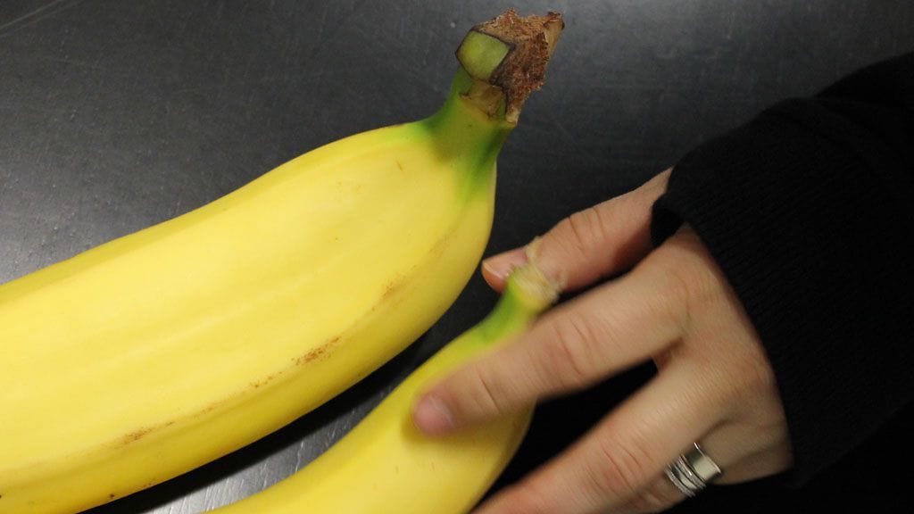 Tuplabanaani oli kooltaan huomattavasti normaalia yksilöä suurempi.