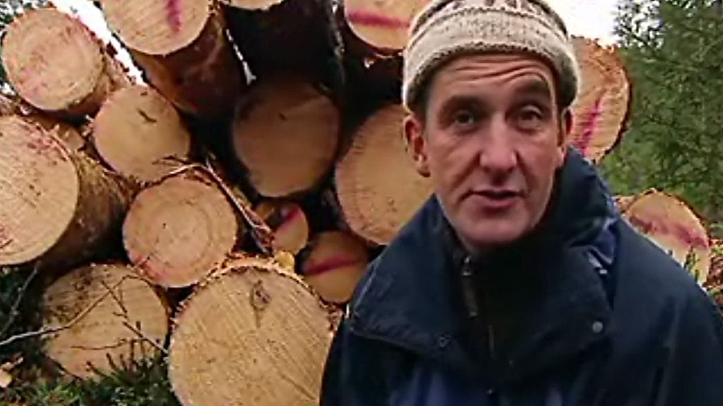 Suomalainen ekohirsitalo on hurmannut britit.