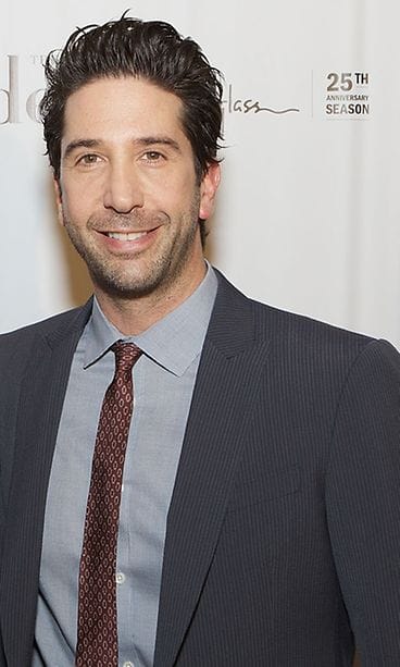 David Scwimmer 2013