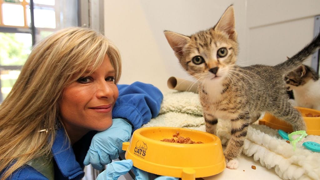 Samantha Fox haluaa auttaa kodittomia kissoja, mutta myös villejä tiikereitä.