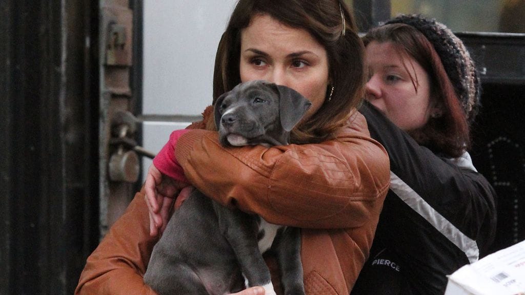 Noomi Rapace Animal Rescue -elokuvan kuvauksissa