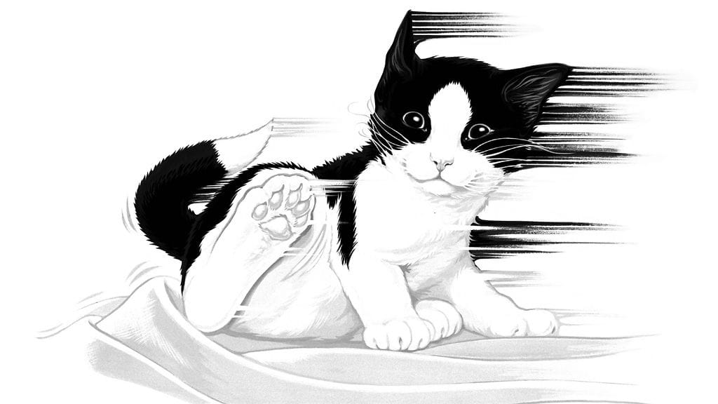 Jätä sinäkin onnentoivotuksesi Latzille!