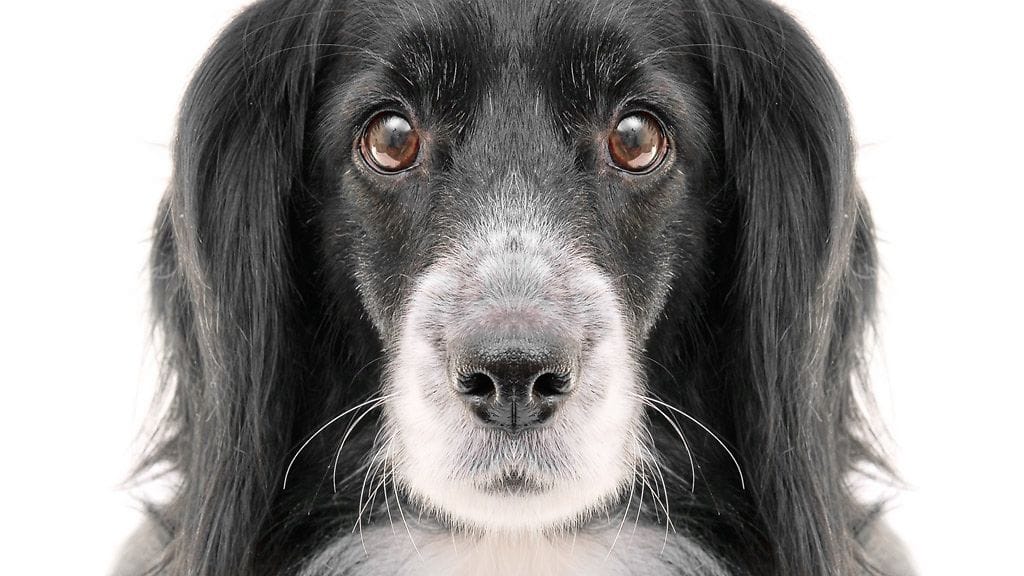 Lähdön aika? Tiedätkö, miten sinun tulisi käyttäytyä?