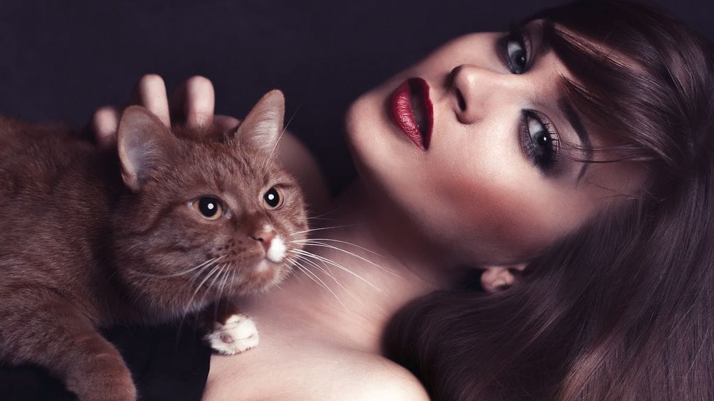 Osaatko tulkita kissan kehonkieltä oikein?