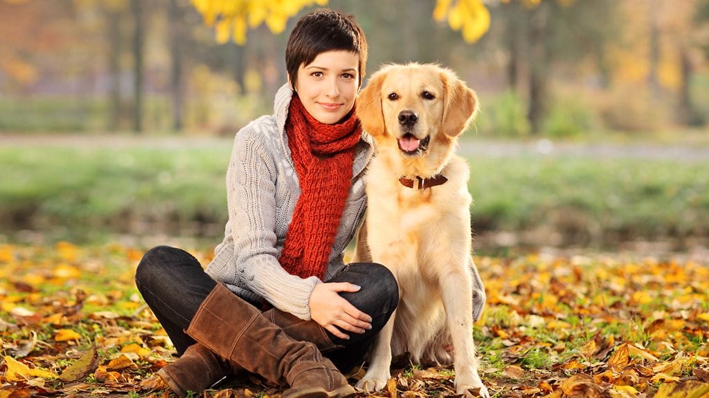 Oletko valmis viemään koiran joka päivä kunnon lenkille?