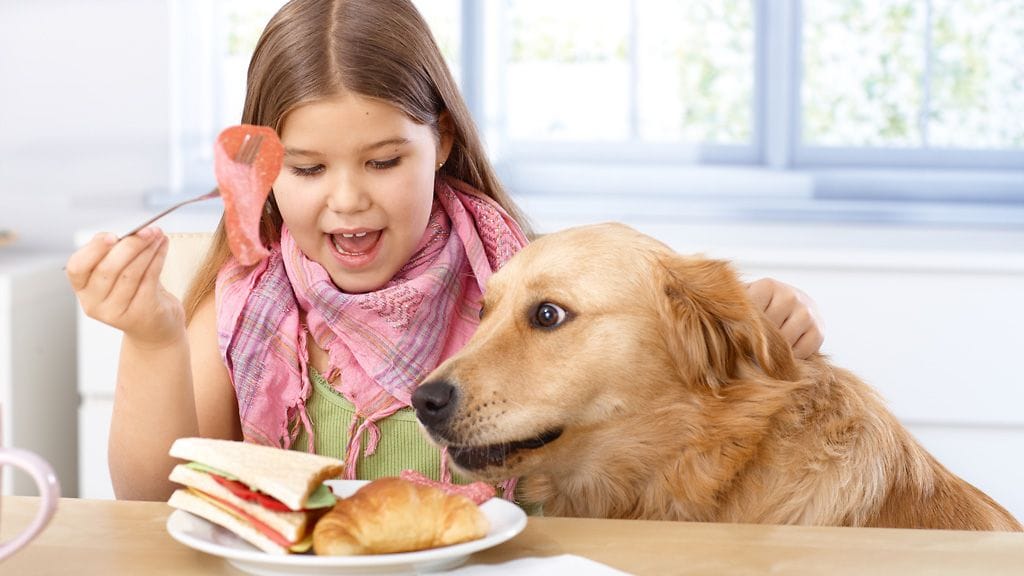 "Mmmm, tuo kana näyttää herkulliselle..!"