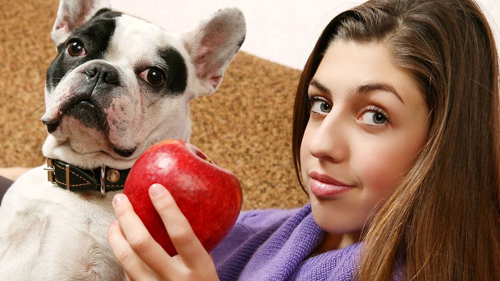 "Hmm, mitkäs näistä olikaan myrkyllisiä..?"