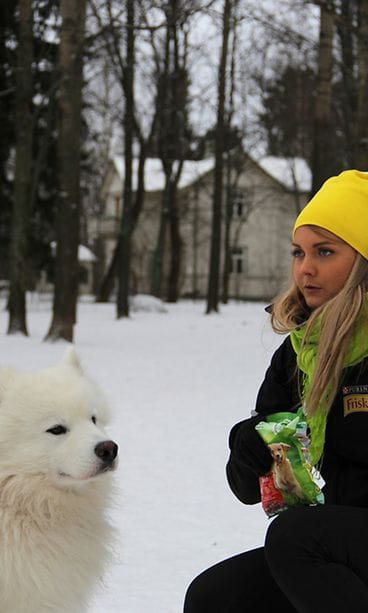 Friskies näytejakelukiertue