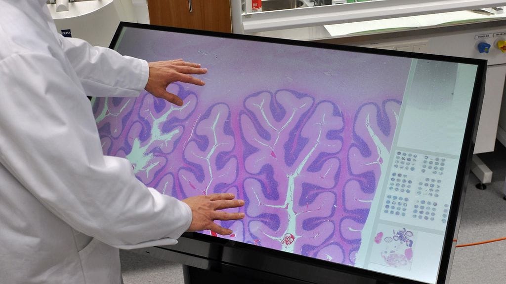 Multitouch kosketusnäyttö