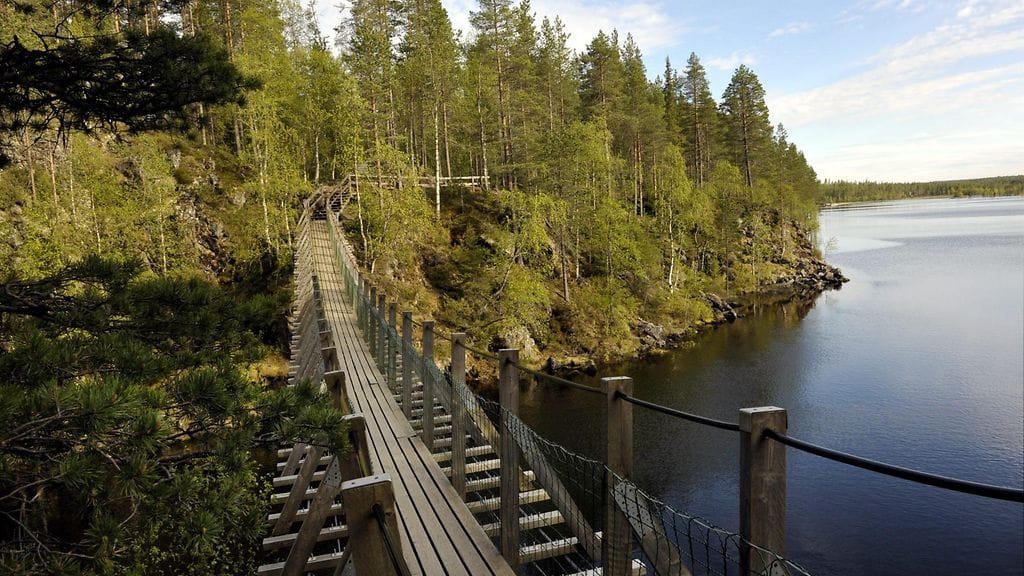 Suomeen perustetaan kaksi uutta kansallispuistoa. Kuva Oulangan kansallispuistosta Kuusamosta.