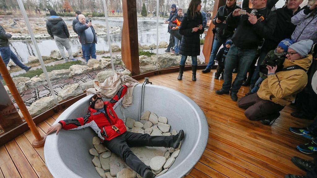 Ukraina presidentti Viktor Janukovitsh huvila villa mökki öky Kiova (4)