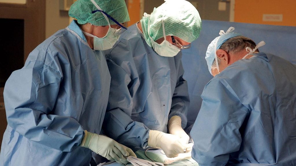 Yhdeltä elinluovuttajalta voidaan saada elimiä useille eri ihmisille. Kuvituskuva.
