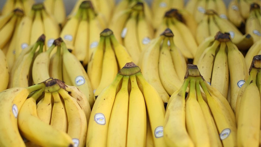 Kemissä Sauvosaaren kentän urheilukoulun tiloista on kadonnut mystisesti 300 leipää ja 150 banaania viime viikonloppuna.