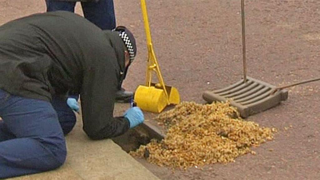 Poliisi tarkastaa sadevesikaivoa kuninkaallisten häiden alla.