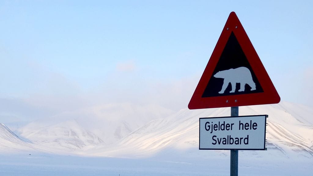 Tiellä liikkuvista jääkarhuista varoittava kyltti Huippuvuorilla.