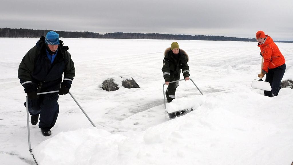 saimaannorppa Saimaa kuutti pesä tekopesä lumi talvi