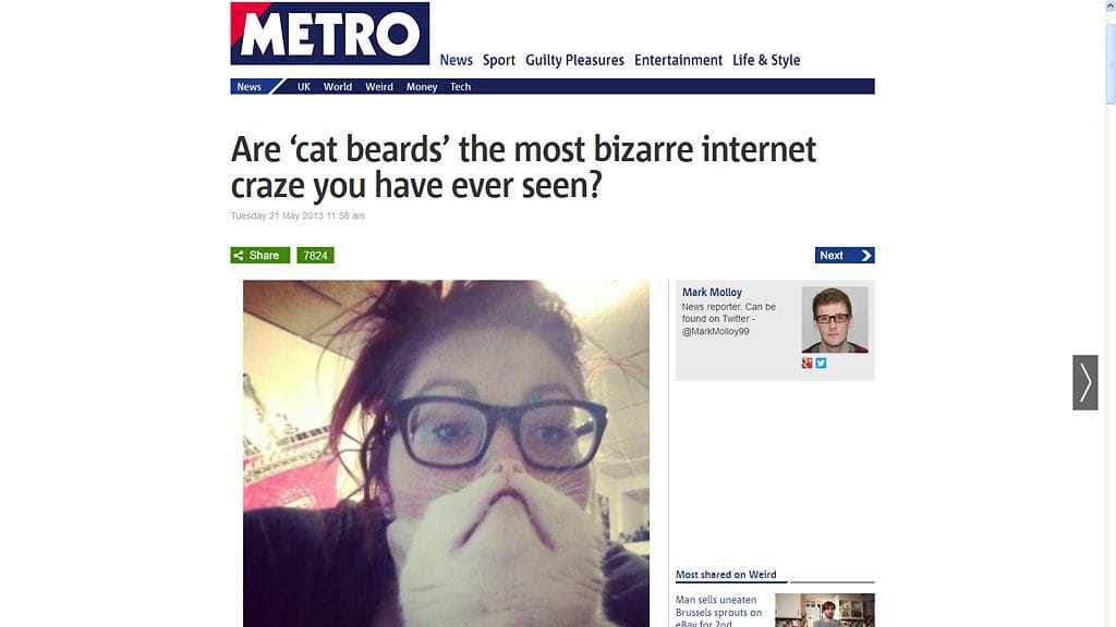 Kissaparta! Kuvakaappaus http://metro.co.uk-sivustolta